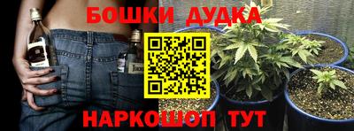 гидра Тара
