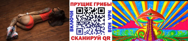 Галлюциногенные грибы GOLDEN TEACHER  Родники 