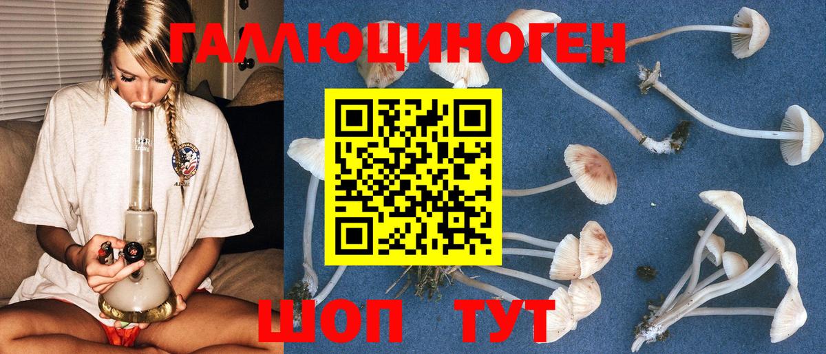 Родники  Псилоцибиновые грибы ЛСД  Вход с VPN 