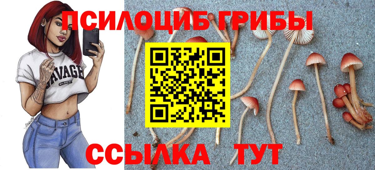 Псилоцибиновые грибы мухоморы Родники